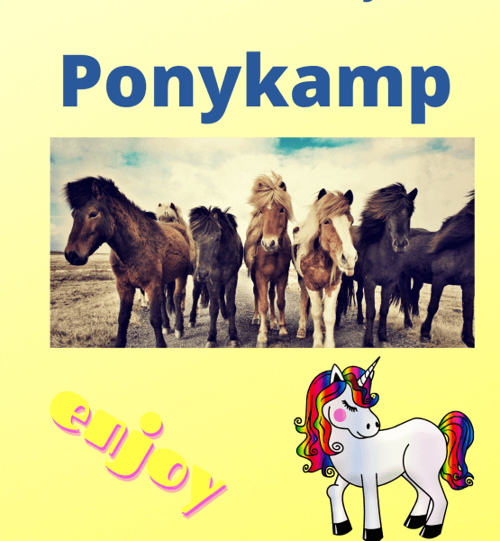 Ponykamp